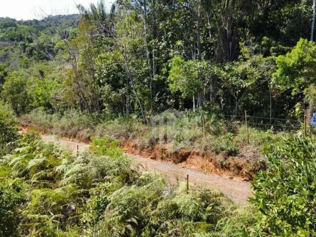 Terreno / Lote para Venda em Itacaré/BA Vila Camboinha