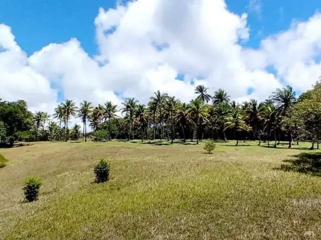 Terreno / Lote para Venda em Itacaré/BA Vila Marambaia