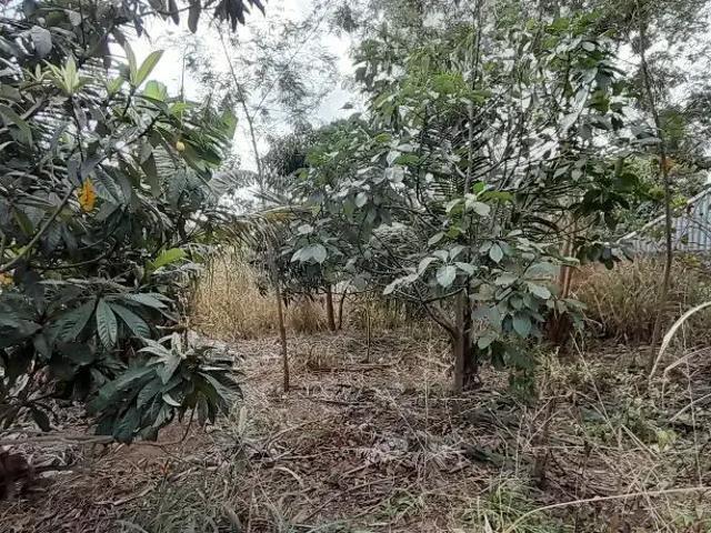 Terreno / Lote para Venda em Itaguaí/RJ Vila Ibirapitanga