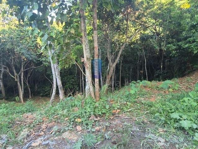 Terreno / Lote para Venda em Itajaí/SC Cabeçudas