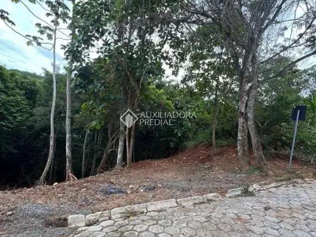 Terreno / Lote para Venda em Itajaí/SC Cabeçudas