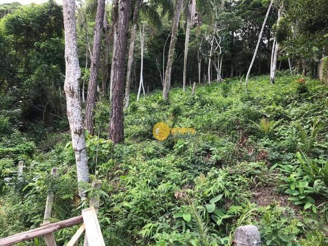 Terreno / Lote para Venda em Itajaí/SC Cabeçudas