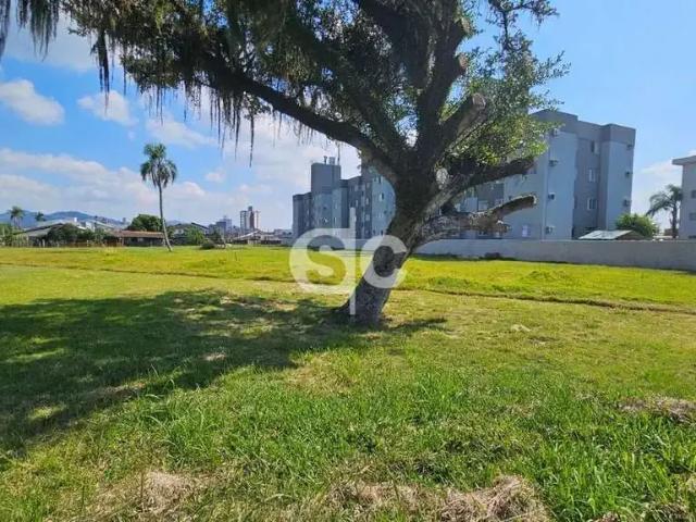 Terreno / Lote para Venda em Itajaí/SC Cordeiros