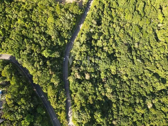 Terreno / Lote para Venda em Itajaí/SC Fazenda
