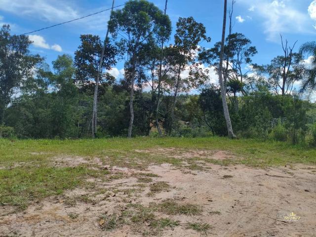 Terreno / Lote para Venda em Itajaí/SC Paciência
