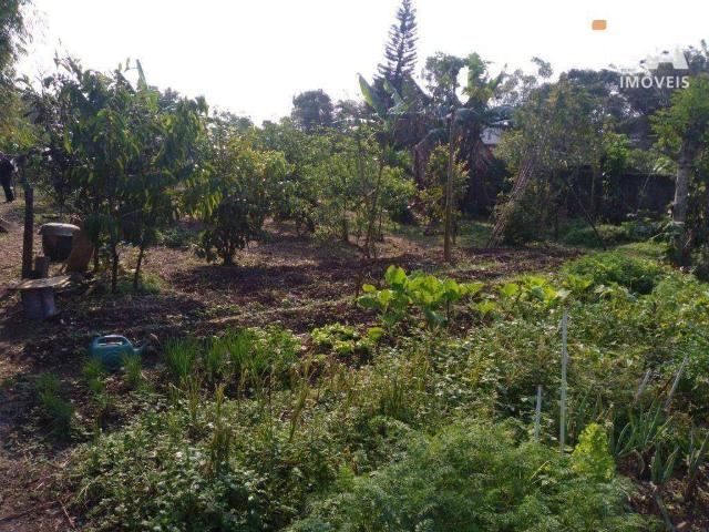 Terreno / Lote para Venda em Itajaí/SC São João