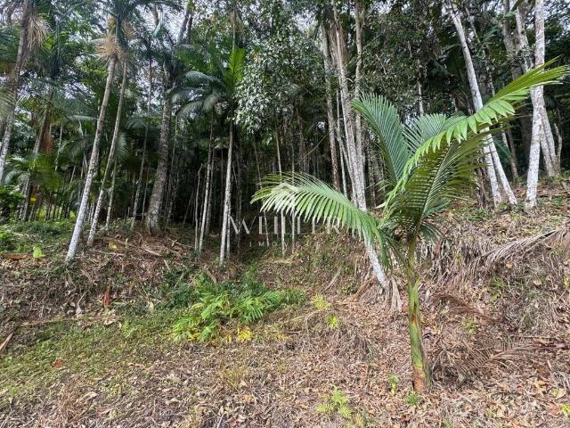 Terreno / Lote para Venda em Itajaí/SC São Roque