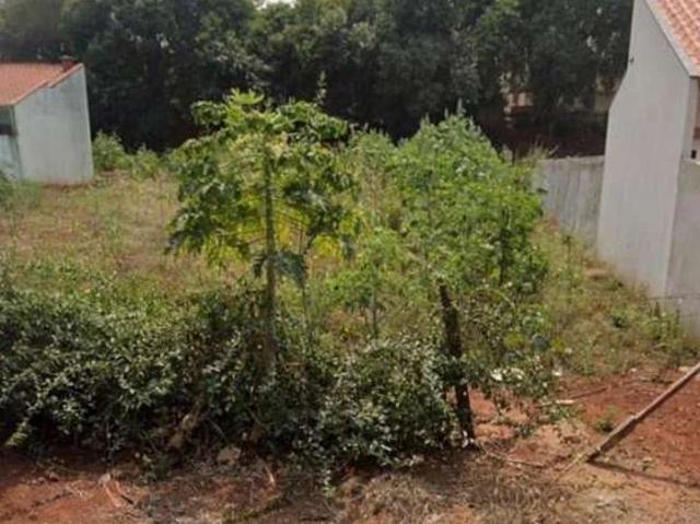 Terreno / Lote para Venda em Itambé/PR Centro