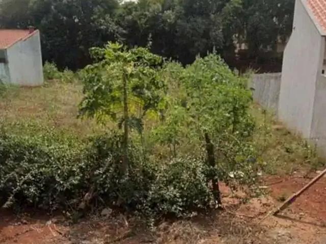 Terreno / Lote para Venda em Itambé/PR Centro