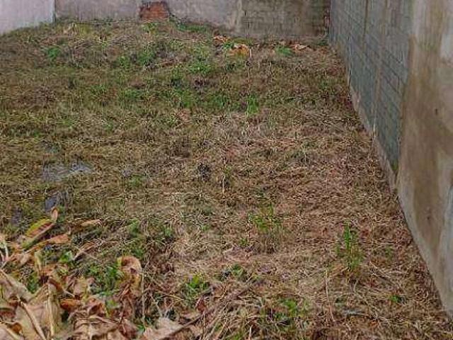 Terreno / Lote para Venda em Itanhaém/SP Balneário Tupy
