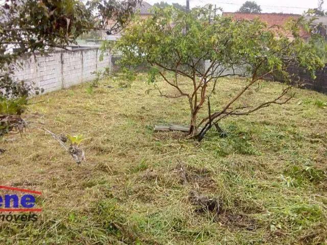 Terreno / Lote para Venda em Itanhaém/SP Balneário Raul Cury