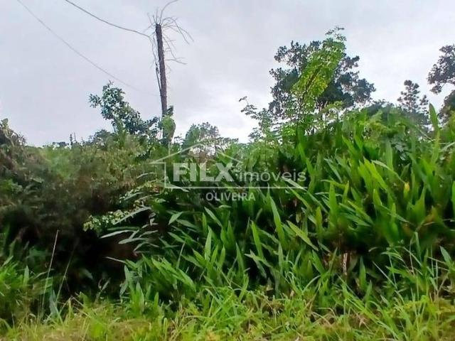 Terreno / Lote para Venda em Itanhaém/SP Gaivota