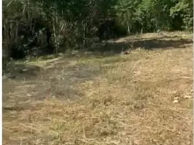 Terreno / Lote para Venda em Itanhaém/SP Gaivota
