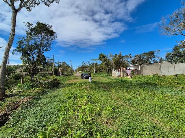 Terreno / Lote para Venda em Itanhaém/SP Gaivota Praia