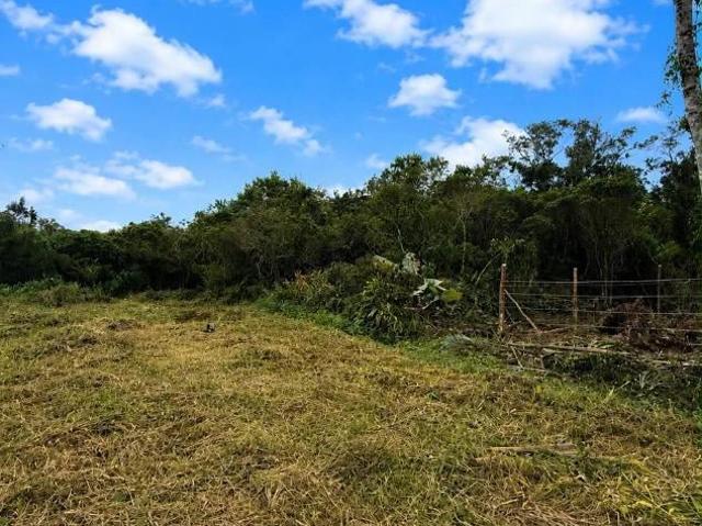 Terreno / Lote para Venda em Itanhaém/SP Gaivota Praia