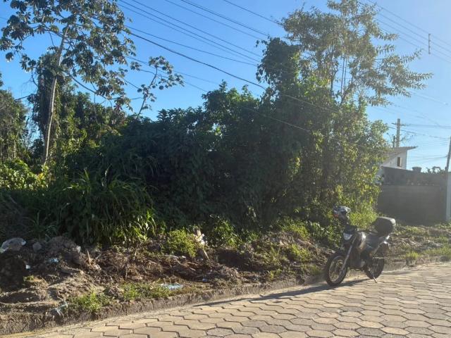 Terreno / Lote para Venda em Itanhaém/SP Jardim Umuarama