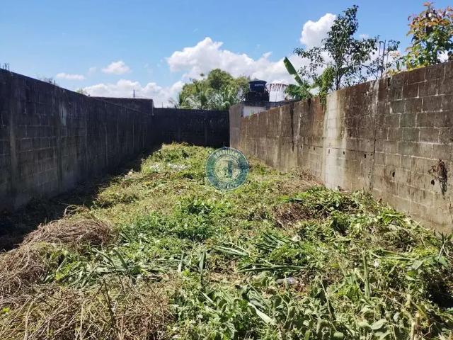 Terreno / Lote para Venda em Itanhaém/SP Jardim Umuarama