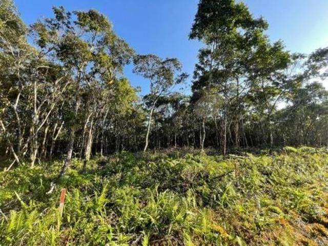 Terreno / Lote para Venda em Itanhaém/SP Jardim Anchieta