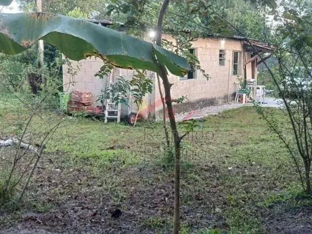 Terreno / Lote para Venda em Itanhaém/SP Jardim Coronel