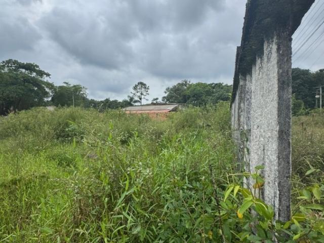 Terreno / Lote para Venda em Itanhaém/SP Jardim Coronel