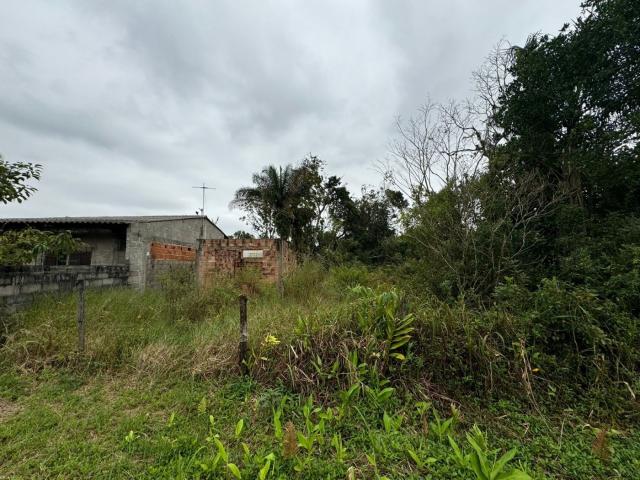 Terreno / Lote para Venda em Itanhaém/SP Jardim Coronel