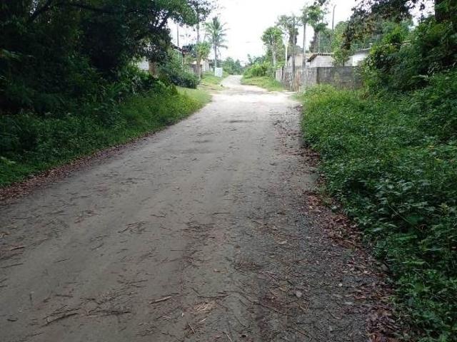 Terreno / Lote para Venda em Itanhaém/SP Jardim Coronel