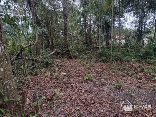 Terreno / Lote para Venda em Itanhaém/SP Jardim Coronel