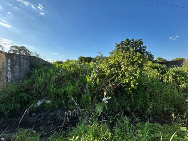 Terreno / Lote para Venda em Itanhaém/SP Jardim das Palmeiras