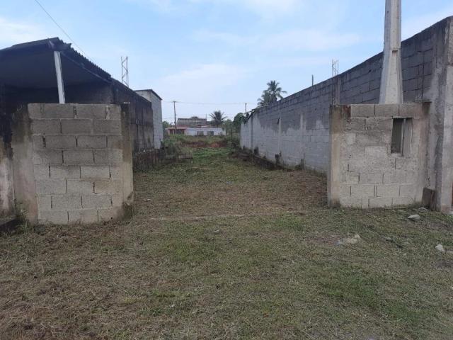 Terreno / Lote para Venda em Itanhaém/SP Jardim das Palmeiras