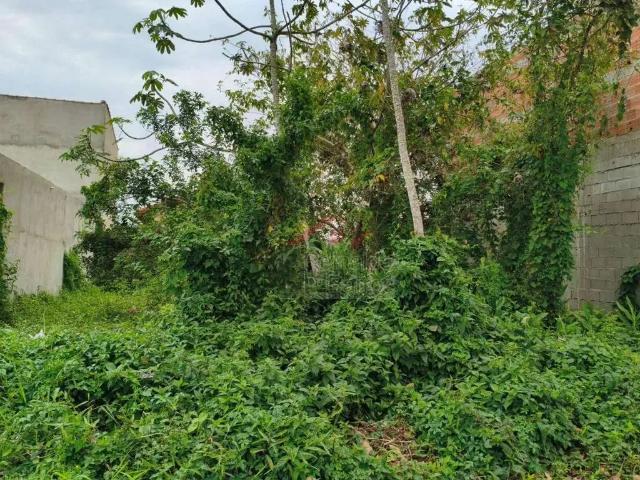 Terreno / Lote para Venda em Itanhaém/SP Jardim Itapel