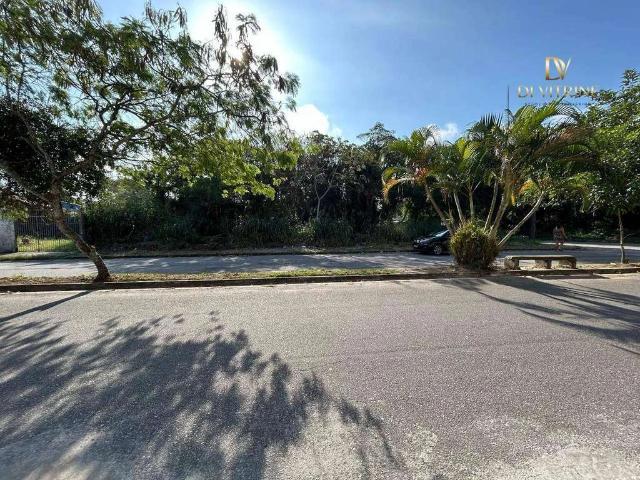Terreno / Lote para Venda em Itanhaém/SP Jardim Jamaica