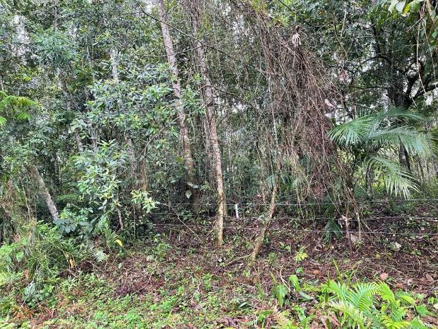 Terreno / Lote para Venda em Itanhaém/SP Vila Loty