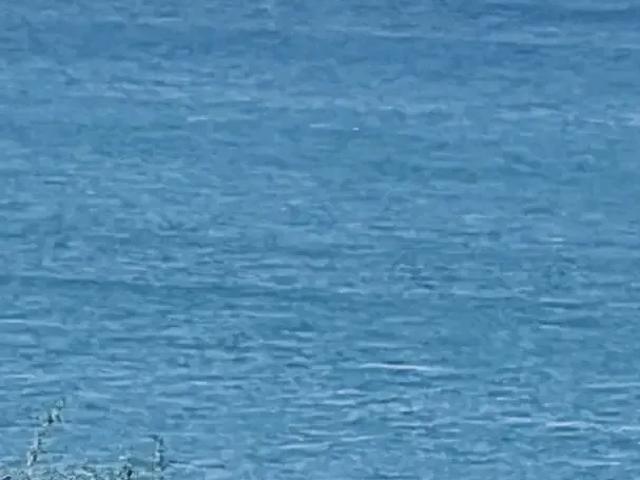 Terreno / Lote para Venda em Itaparica/BA Praia de Manguinhos