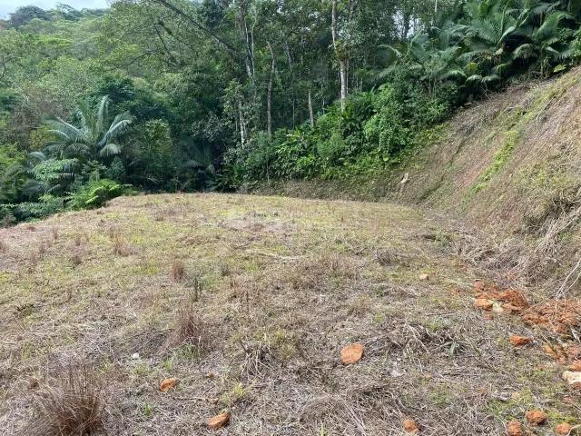 Terreno / Lote para Venda em Itapema/SC Alto Areal