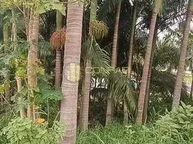 Terreno / Lote para Venda em Itapema/SC Alto São Bento