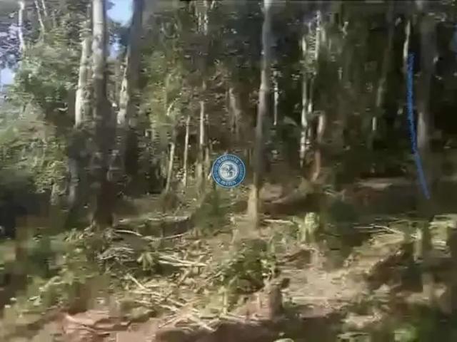 Terreno / Lote para Venda em Itapecerica da Serra/SP Palmeiras