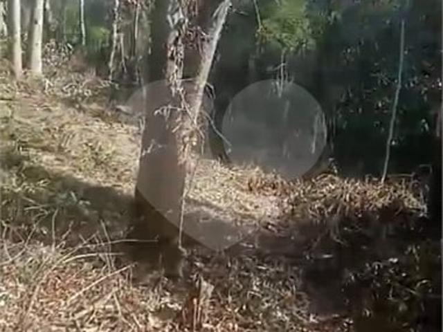 Terreno / Lote para Venda em Itapecerica da Serra/SP Palmeiras