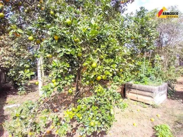 Terreno / Lote para Venda em Itapecerica/MG Lamounier