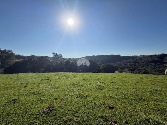 Terreno / Lote para Venda em Itapejara d'Oeste/PR Zona Rural