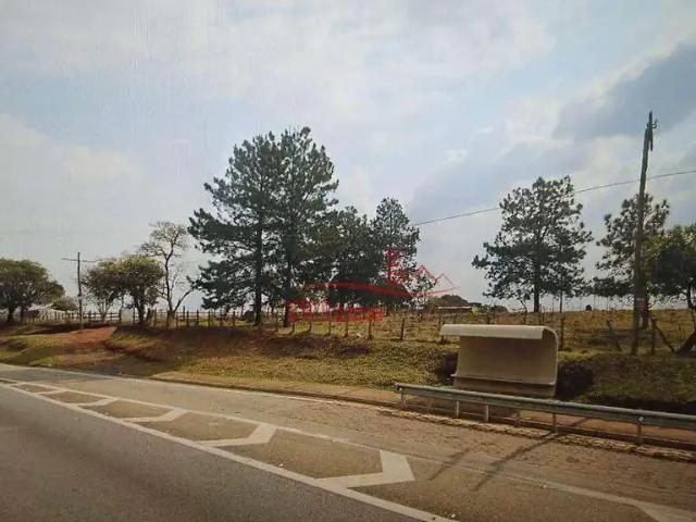 Terreno / Lote para Venda em Itapetininga/SP Vila Camarão