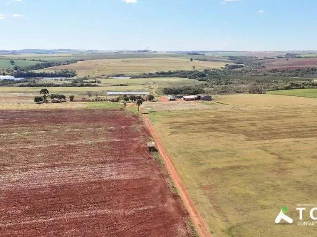 Terreno / Lote para Venda em Itapetininga/SP Área Rural de Itapetininga