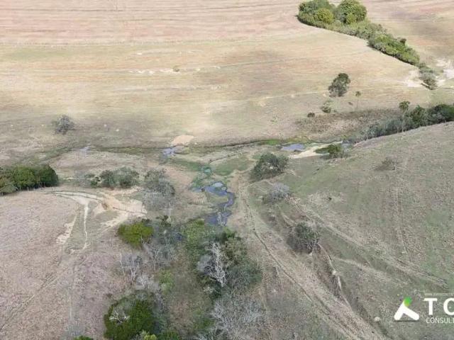 Terreno / Lote para Venda em Itapetininga/SP Área Rural de Itapetininga