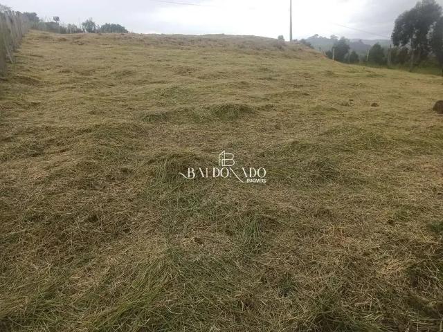 Terreno / Lote para Venda em Itapeva/MG Centro