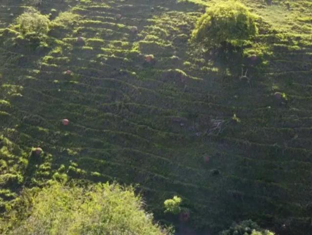 Terreno / Lote para Venda em Itapeva/MG Estivinha