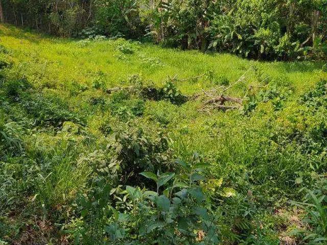 Terreno / Lote para Venda em Itapevi/SP Jardim Nova Cotia