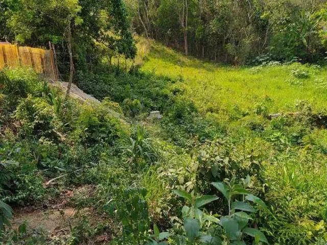 Terreno / Lote para Venda em Itapevi/SP Jardim Nova Cotia