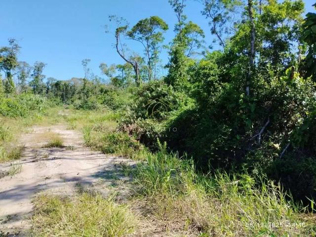Terreno / Lote para Venda em Itapoá/SC Uirapuru