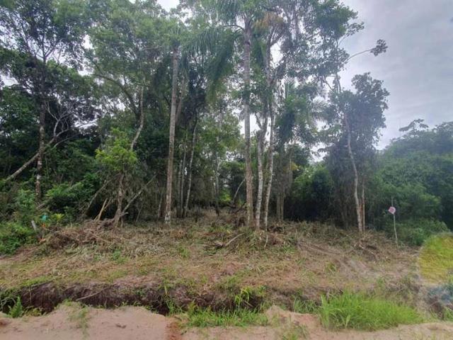 Terreno / Lote para Venda em Itapoá/SC Balneário do Parque