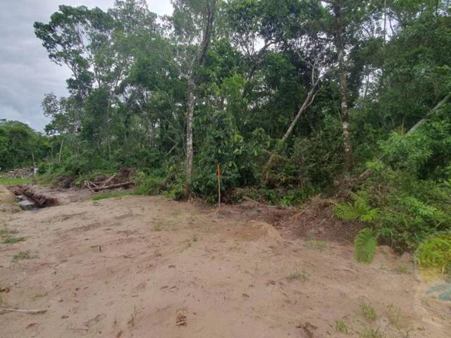 Terreno / Lote para Venda em Itapoá/SC Balneário do Parque