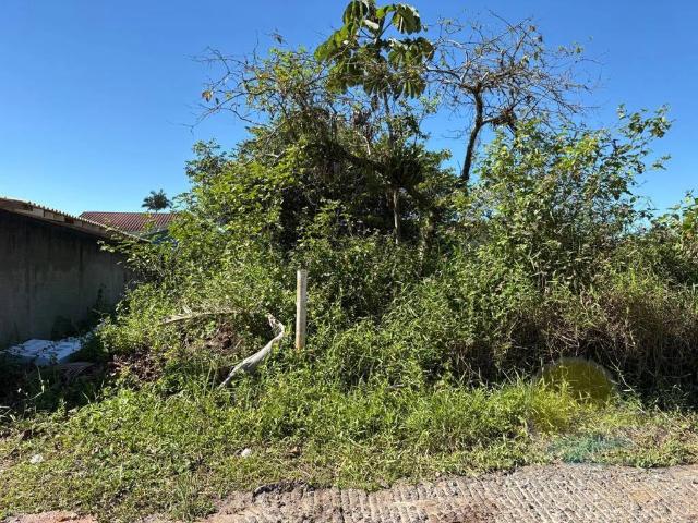 Terreno / Lote para Venda em Itapoá/SC Barra do Sai